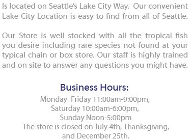 The Fish Store Seattle